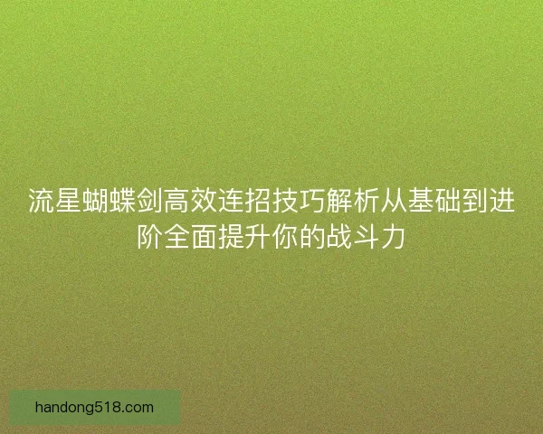 流星蝴蝶剑高效连招技巧解析从基础到进阶全面提升你的战斗力