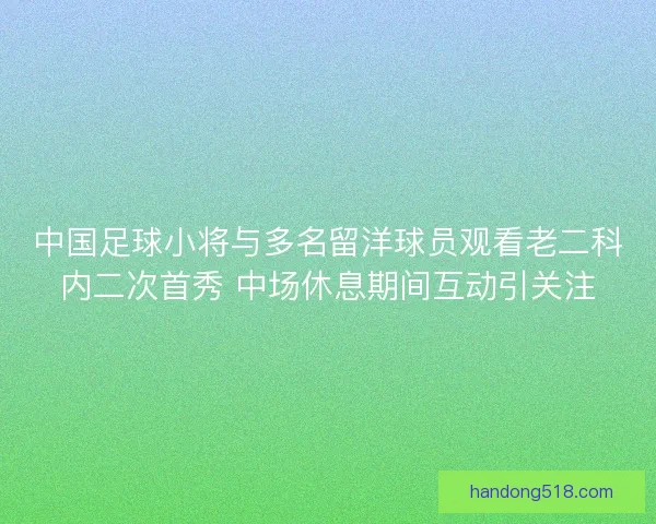 中国足球小将与多名留洋球员观看老二科内二次首秀 中场休息期间互动引关注