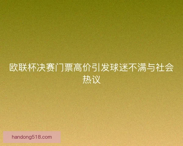 欧联杯决赛门票高价引发球迷不满与社会热议